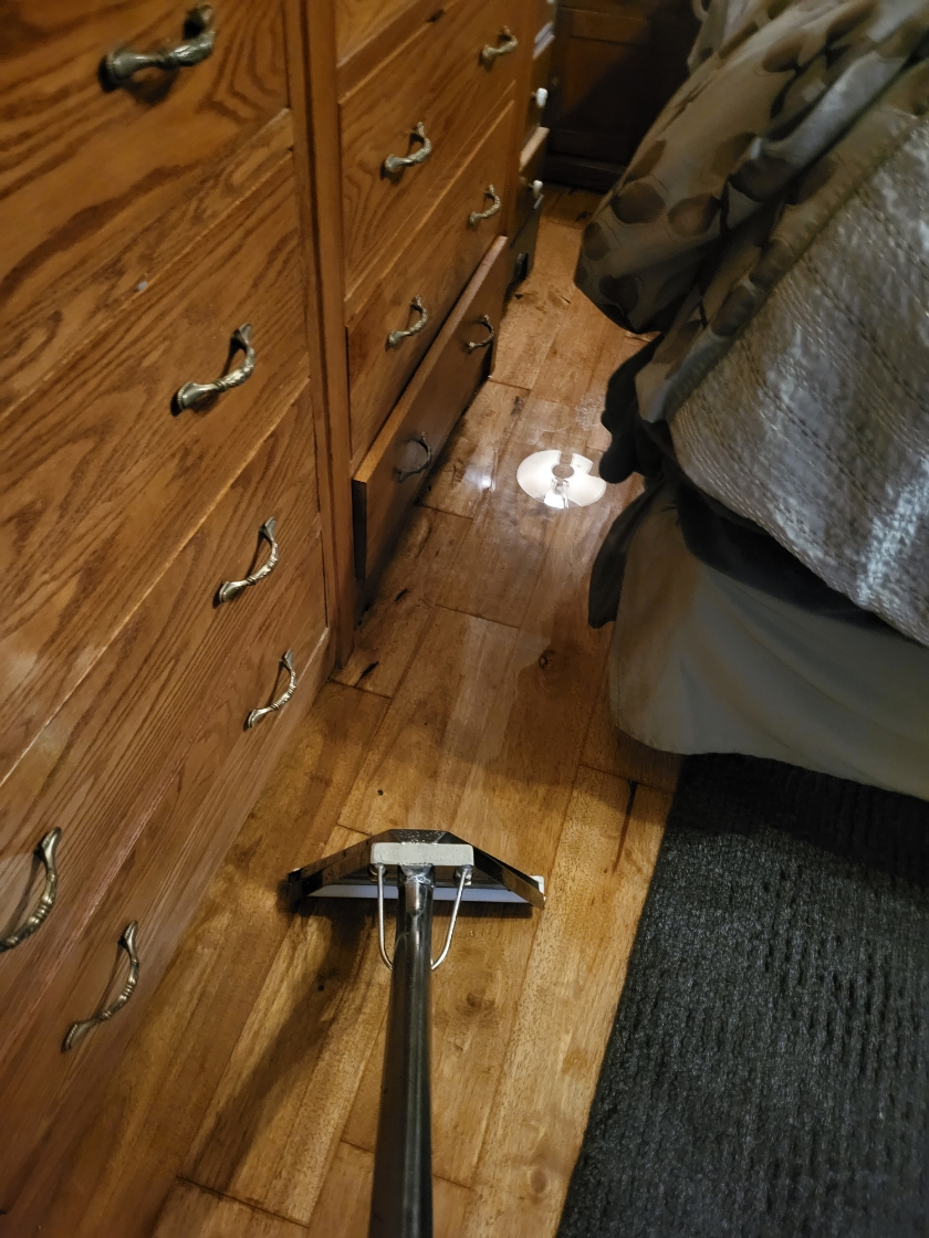 Water extraction in progress - professional water damage restoration